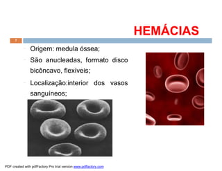 HEMÁCIASHEMÁCIAS
¨ Origem: medula óssea;
¨ São anucleadas, formato disco
bicôncavo, flexíveis;
¨ Localização:interior dos vasos
sanguíneos;
7
PDF created with pdfFactory Pro trial version www.pdffactory.com
 