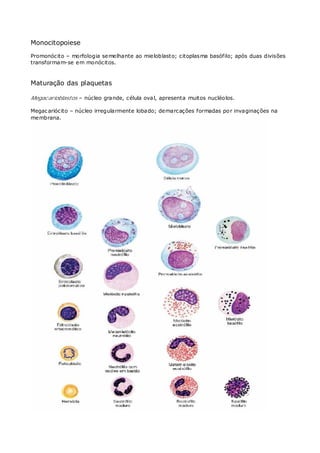 Monocitopoiese
Promonócito – morfologia semelhante ao mieloblasto; citoplasma basófilo; após duas divisões
transformam-se em monócitos.
Maturação das plaquetas
Megacarioblastos – núcleo grande, célula oval, apresenta muitos nucléolos.
Megacariócito – núcleo irregularmente lobado; demarcações formadas por invaginações na
membrana.
 