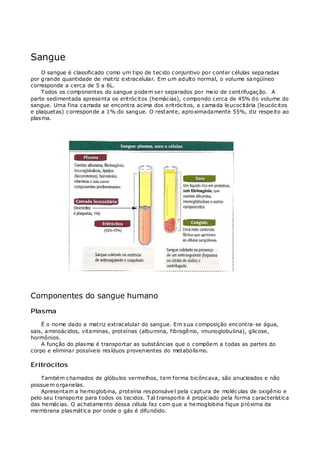 Sangue
O sangue é classificado como um tipo de tecido conjuntivo por conter células separadas
por grande quantidade de matriz extracelular. Em um adulto normal, o volume sangüíneo
corresponde a cerca de 5 a 6L.
Todos os componentes do sangue podem ser separados por meio de centrifugação. A
parte sedimentada apresenta os eritrócitos (hemácias), compondo cerca de 45% do volume do
sangue. Uma fina camada se encontra acima dos eritrócitos, a camada leucocitária (leucócitos
e plaquetas) corresponde a 1% do sangue. O restante, aproximadamente 55%, diz respeito ao
plasma.
Componentes do sangue humano
Plasma
É o nome dado a matriz extracelular do sangue. Em sua composição encontra-se água,
sais, aminoácidos, vitaminas, proteínas (albumina, fibrogênio, imunoglobulina), glicose,
hormônios.
A função do plasma é transportar as substâncias que o compõem a todas as partes do
corpo e eliminar possíveis resíduos provenientes do metabolismo.
Eritrócitos
Também chamados de glóbulos vermelhos, tem forma bicôncava, são anucleados e não
possuem organelas.
Apresentam a hemoglobina, proteína responsável pela captura de moléculas de oxigênio e
pelo seu transporte para todos os tecidos. Tal transporte é propiciado pela forma característica
das hemácias. O achatamento dessa célula faz com que a hemoglobina fique próxima da
membrana plasmática por onde o gás é difundido.
 