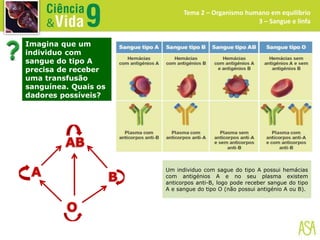 Tema 2 – Organismo humano em equilíbrio
3 – Sangue e linfa
Imagina que um
individuo com
sangue do tipo A
precisa de receber
uma transfusão
sanguínea. Quais os
dadores possíveis?
Um individuo com sague do tipo A possui hemácias
com antigénios A e no seu plasma existem
anticorpos anti-B, logo pode receber sangue do tipo
A e sangue do tipo O (não possui antigénio A ou B).
 