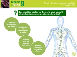 Que medidas adotar no dia-a-dia para garantir
o bom funcionamento do sistema linfático?
Tema 2 – Organismo humano em equilíbrio
3 – Sangue e linfa
Ingestão
abundante
de água
Realização
de
massagens
suaves
Evitar o
uso de
roupas
apertadas Prática
regular de
exercício
físico
 