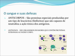 O sangue e suas defesas
1.   ANTICORPOS – São proteínas especiais produzidas por
     um tipo de leucócitos (linfócitos) que são capazes de
     neutraliza a ação tóxica dos antígenos.

    ANTÍGENOS - SÃO ORGANISMOS INVASORES QUE CONTÉM PROTEÍNAS
     ESTRANHAS AO NOSSO CORPO.
 