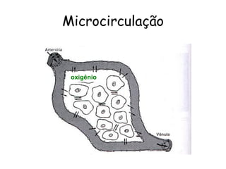 Microcirculação


 oxigênio
 