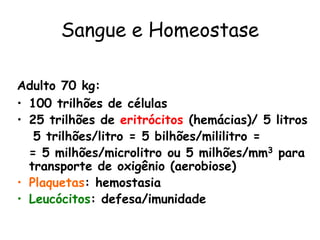 Sangue e Homeostase

Adulto 70 kg:
• 100 trilhões de células
• 25 trilhões de eritrócitos (hemácias)/ 5 litros
   5 trilhões/litro = 5 bilhões/mililitro =
  = 5 milhões/microlitro ou 5 milhões/mm3 para
  transporte de oxigênio (aerobiose)
• Plaquetas: hemostasia
• Leucócitos: defesa/imunidade
 