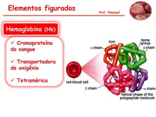 Hemoglobina (Hb)
 Cromoproteína
do sangue
 Transportadora
de oxigênio
 Tetramérica
Prof. Emanuel
Elementos figurados
 