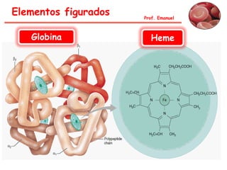 Prof. Emanuel
Globina Heme
Elementos figurados
 