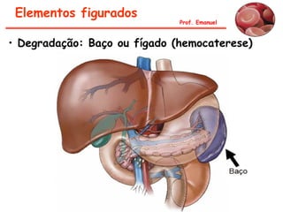 Prof. Emanuel
Elementos figurados
• Degradação: Baço ou fígado (hemocaterese)
 