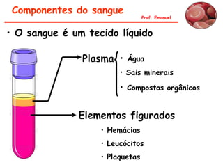 Componentes do sangue
• O sangue é um tecido líquido
Plasma • Água
• Sais minerais
• Compostos orgânicos
Elementos figurados
• Hemácias
• Leucócitos
• Plaquetas
Prof. Emanuel
 