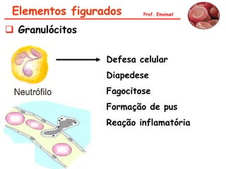 Prof. Emanuel
 Granulócitos
Defesa celular
Diapedese
Fagocitose
Formação de pus
Reação inflamatória
Elementos figurados
 