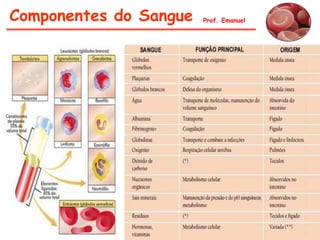 Prof. EmanuelComponentes do Sangue
 