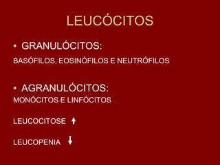 LEUCÓCITOS
• GRANULÓCITOS:
BASÓFILOS, EOSINÓFILOS E NEUTRÓFILOS


• AGRANULÓCITOS:
MONÓCITOS E LINFÓCITOS

LEUCOCITOSE

LEUCOPENIA
 