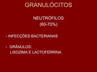 GRANULÓCITOS

            NEUTRÓFILOS
              (60-70%)

- INFECÇÕES BACTERIANAS

- GRÂNULOS:
  LISOZIMA E LACTOFERRINA
 