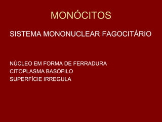 MONÓCITOS
SISTEMA MONONUCLEAR FAGOCITÁRIO



NÚCLEO EM FORMA DE FERRADURA
CITOPLASMA BASÓFILO
SUPERFÍCIE IRREGULA
 