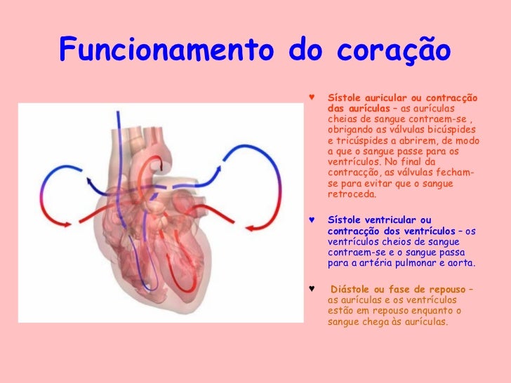 Que Caminho Segue O Sangue Oxigenado Que Sai Do Coração