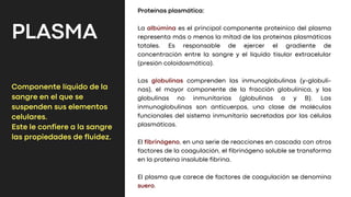 PLASMA
Componente líquido de la
sangre en el que se
suspenden sus elementos
celulares.
Este le confiere a la sangre
las propiedades de fluidez.
Proteínas plasmática:
La albúmina es el principal componente proteínico del plasma
representa más o menos la mitad de las proteínas plasmáticas
totales. Es responsable de ejercer el gradiente de
concentración entre la sangre y el líquido tisular extracelular
(presión coloidosmótica).
Las globulinas comprenden las inmunoglobulinas (y-globuli-
nas), el mayor componente de la fracción globulínica, y las
globulinas no inmunitarias (globulinas a y B). Las
inmunoglobulinas son anticuerpos, una clase de moléculas
funcionales del sistema inmunitario secretadas por las células
plasmáticas.
El fibrinógeno, en una serie de reacciones en cascada con otros
factores de la coagulación, el fibrinógeno soluble se transforma
en la proteína insoluble fibrina.
El plasma que carece de factores de coagulación se denomina
suero.
 