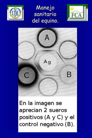 Manejo
sanitario
del equino.
 