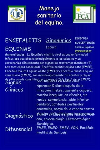 Manejo
sanitario
del equino.
ENCEFALITIS
EQUINAS
Sinonimias
Locura
ESPECIES
SUSCEPTIBLES
Familia Equidoe
ZOONOSIS?
Generalidades: La Encéfalo mielitis viral es una enfermedad
infecciosa que afecta principalmente a los caballos y se
caracteriza clínicamente por signos de trastornos mentales (4).
Las tres cepas conocidas: Encéfalo mielitis equina este (EMEE),
Encéfalo mielitis equina oeste (EMEO) y Encéfalo mielitis equina
venezolana (EMEV), son inmunológicamente diferentes y alguna
de ellas puede constituir una zoonosis (Sub tipo 1 de la EMEV).
Signos
Clínicos
Son similares en todas ellas.
Aparecen 5 días después de la
infección. Fiebre, aparente ceguera,
marcha irregular, en círculos, sin
rumbo, somnolencia, labio inferior
pendular, actitudes posturales
anormales, apoyo de la cabeza contra
objetos, dificultad para incorporarse.
Diagnóstico Clínico: en base a signos, estación del
año, epidemiología. Histopatológico.
Serológico.
Diferencial EMEE, EMEO, EMEV, VON, Encéfalo
mielitis de San Luis.
 