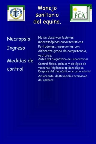 Manejo
sanitario
del equino.
Necropsia No se observan lesiones
macroscópicas características
Ingreso Portadores, reservorios con
diferente grado de competencia,
vectores.
Medidas de
control
Antes del diagnóstico de Laboratorio:
Control físico, químico y biológico de
vectores. Vigilancia epidemiológica.
Después del diagnóstico de Laboratorio:
Aislamiento, destrucción o cremación
del cadáver.
 