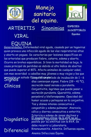 Manejo
sanitario
del equino.
ARTERITIS
VIRAL
EQUINA
Sinonimias
ESPECIES
SUSCEPTIBLES
Equidos
Generalidades: Enfermedad viral aguda, causada por un togavirus
quien provoca una infección aguda de las vías respiratorias altas
y aborto en yeguas. Se caracteriza por lesiones específicas en
las arteriolas que producen fiebre, catarro, edema y aborto.
Ocurre en brotes esporádicos. Si bien la mortalidad es baja, la
causa principal de perdidas es debido al alto índice de abortos
que puede superar el 80%. Afecta animales de cualquier edad,
con mas severidad a caballos muy jóvenes o muy viejos y los que
presentan un estado físico deficiente.
Signos
Clínicos
Luego de un período de incubación de 1 – 6
días comienzan signos. Fiebre (39 – 41 ºC),
secreción nasal serosa a purulenta.
Conjuntivitis, lagrimeo que puede pasar a
secreción purulenta. Queratitis, edema
parpebral y blefarospasmo. Opacidad del
humor acuoso y petequias en la conjuntiva.
Tos y disnea intensa consecutiva a
congestión y edema pulmonar. Anorexia,
cólico y diarrea consecutiva a enteritis.
Ictericia y edema de zonas declives y
miembros. Depresión. Aborto temprano.Diagnóstico El diagnóstico clínico de la AVE no es
posible por su similitud con la RVA. Se
debe recurrir a Laboratorio.
Diferencial Rinoneumonitis. Adenitis. Influenza equina.
Anemia Infecciosa Equina.
 