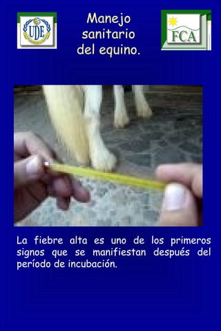 Manejo
sanitario
del equino.
La fiebre alta es uno de los primeros
signos que se manifiestan después del
período de incubación.
 