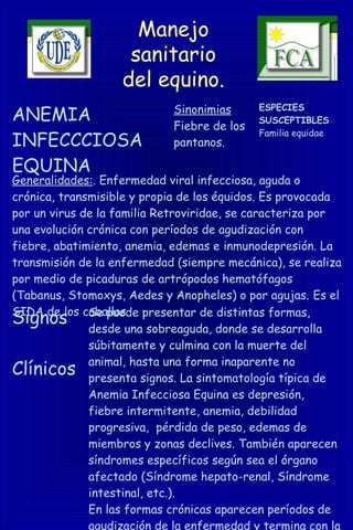 Manejo
sanitario
del equino.
ANEMIA
INFECCCIOSA
EQUINA
Sinonimias
Fiebre de los
pantanos.
ESPECIES
SUSCEPTIBLES
Familia equidae
Generalidades:. Enfermedad viral infecciosa, aguda o
crónica, transmisible y propia de los équidos. Es provocada
por un virus de la familia Retroviridae, se caracteriza por
una evolución crónica con períodos de agudización con
fiebre, abatimiento, anemia, edemas e inmunodepresión. La
transmisión de la enfermedad (siempre mecánica), se realiza
por medio de picaduras de artrópodos hematófagos
(Tabanus, Stomoxys, Aedes y Anopheles) o por agujas. Es el
SIDA de los caballos
Signos
Clínicos
Se puede presentar de distintas formas,
desde una sobreaguda, donde se desarrolla
súbitamente y culmina con la muerte del
animal, hasta una forma inaparente no
presenta signos. La sintomatología típica de
Anemia Infecciosa Equina es depresión,
fiebre intermitente, anemia, debilidad
progresiva, pérdida de peso, edemas de
miembros y zonas declives. También aparecen
síndromes específicos según sea el órgano
afectado (Síndrome hepato-renal, Síndrome
intestinal, etc.).
En las formas crónicas aparecen períodos de
agudización de la enfermedad y termina con la
 