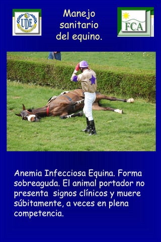 Manejo
sanitario
del equino.
Anemia Infecciosa Equina. Forma
sobreaguda. El animal portador no
presenta signos clínicos y muere
súbitamente, a veces en plena
competencia.
 