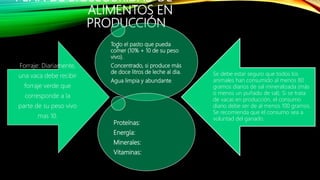 PLAN DE BIOSEGURIDAD DE
ALIMENTOS EN
PRODUCCIÓN
Todo el pasto que pueda
comer (10% + 10 de su peso
vivo).
Concentrado, si produce más
de doce litros de leche al dia.
Agua limpia y abundante.
Proteínas:
Energía:
Minerales:
Vitaminas:
Forraje: Diariamente,
una vaca debe recibir
forraje verde que
corresponde a la
parte de su peso vivo
mas 10.
Se debe estar seguro que todos los
animales han consumido al menos 80
gramos diarios de sal mineralizada (más
o menos un puñado de sal). Si se trata
de vacas en producción, el consumo
diario debe ser de al menos 100 gramos.
Se recomienda que el consumo sea a
voluntad del ganado.
 