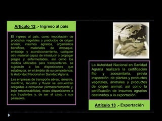 El ingreso al país, como importación de
productos vegetales y productos de origen
animal, insumos agrarios, organismos
benéficos, materiales de empaque,
embalaje y acondicionamiento, cualquier
otro material capaz de introducir o propagar
plagas y enfermedades, así como los
medios utilizados para transportarlos, se
sujetarán a las disposiciones que
establezca, en el ámbito de su competencia,
la Autoridad Nacional en Sanidad Agraria.
Las empresas de transporte aéreo, terrestre,
marítimo, lacustre y fluvial se encuentran
obligadas a comunicar permanentemente y,
bajo responsabilidad, estas disposiciones a
sus tripulantes y, de ser el caso, a sus
pasajeros.
Artículo 12 .- Ingreso al país
Artículo 13 .- Exportación
La Autoridad Nacional en Sanidad
Agraria realizará la certificación
fito y zoosanitaria, previa
inspección, de plantas y productos
vegetales, animales y productos
de origen animal; así como la
certificación de insumos agrarios
destinados a la exportación.
 