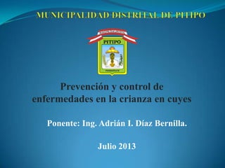 Prevención y control de
enfermedades en la crianza en cuyes
Ponente: Ing. Adrián I. Díaz Bernilla.
Julio 2013
 