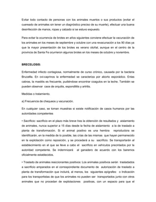 Evitar todo contacto de personas con los animales muertos o sus productos (evitar el
cuereado de animales sin tener un diagnóstico preciso de su muerte), efectuar una buena
desinfección de manos, ropas y calzado si se estuvo expuesto.
Para evitar la ocurrencia de brotes en años siguientes conviene efectuar la vacunación de
los animales en los meses de septiembre y octubre con una revacunación a los 90 días ya
que la mayor presentación de los brotes es verano otoñal, aunque en el centro de la
provincia de Santa Fe ocurrieron algunos brotes en los meses de octubre y noviembre.

BRECELOSIS:
Enfermedad infecto contagiosa, normalmente de curso crónico, causada por la bacteria
Brucellla. En ovi-caprinos la enfermedad se caracteriza por aborto esporádico. Enlas
cabras, la mastitis es frecuente, pudiéndose encontrar coagulos en la leche. También se
pueden observar caos de orquitis, espondilitis y artritis.
Medidas o tratamiento.
a) Frecuencia de chequeos y vacunación.
En cualquier caso, se toman muestras si existe notificación de casos humanos por las
autoridades competentes
• Sacrificio: sacrificio en el plazo más breve tras la obtención de resultados y aislamiento
de animales, nunca superior a 15 días desde la fecha de aislamiento a la de traslado a
planta de transformación. Si el animal positivo es una hembra

reproductora se

identificarán, en la medida de lo posible, las crías de las mismas que hayan permanecido
en la explotación como reposición, y se procederá a su sacrificio. Se transportarán al
establecimiento en el que se lleve a cabo el sacrificio en vehículos precintados por la
autoridad competente. Se indemnizará

al ganadero de acuerdo con los baremos

oficialmente establecidos.
• Traslado de animales reaccionantes positivos: Los animales positivos serán trasladados
a sacrificio amparados en el correspondiente documento de autorización de traslado a
planta de transformación que incluirá, al menos, los siguientes epígrafes: o Indicación
para los transportistas de que los animales no pueden ser transportados junto con otros
animales que no procedan de explotaciones

positivas, con un espacio para que el

 