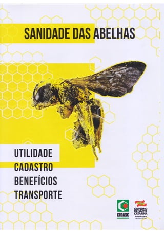 Sanidade das abelhas 