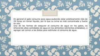 En general el gato consume poca agua pudiendo estar prácticamente más de
24 horas sin tomar líquido, por lo que su orina es más concentrada y fuerte
en olor.
Una de las formas de asegurar el consumo de agua en los gatos, es
ofreciendo altas cantidades de agua en los alimentos (alimentos enlatados), o
agregar sal común a las dietas para estimular el consumo de agua.
 
