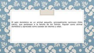 El gato doméstico es un animal pequeño, principalmente carnívoro (Felis
catus), que pertenece a la familia de los Felinos. Popular como animal
doméstico y apreciado como cazador de ratones y ratas.
 