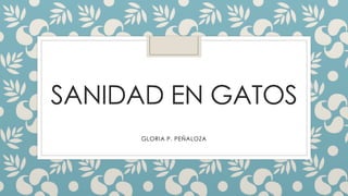 SANIDAD EN GATOS
GLORIA P. PEÑALOZA
 