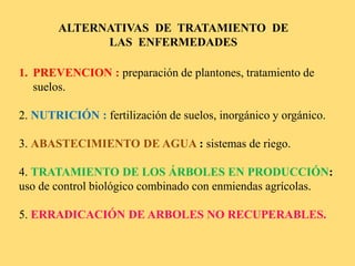 1. PREVENCION : preparación de plantones, tratamiento de
suelos.
2. NUTRICIÓN : fertilización de suelos, inorgánico y orgánico.
3. ABASTECIMIENTO DE AGUA : sistemas de riego.
4. TRATAMIENTO DE LOS ÁRBOLES EN PRODUCCIÓN:
uso de control biológico combinado con enmiendas agrícolas.
5. ERRADICACIÓN DE ARBOLES NO RECUPERABLES.
ALTERNATIVAS DE TRATAMIENTO DE
LAS ENFERMEDADES
 