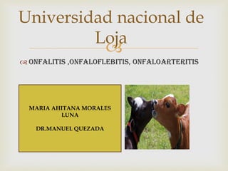 
 Onfalitis ,Onfaloflebitis, onfaloarteritis
Universidad nacional de
Loja
MARIA AHITANA MORALES
LUNA
DR.MANUEL QUEZADA
 