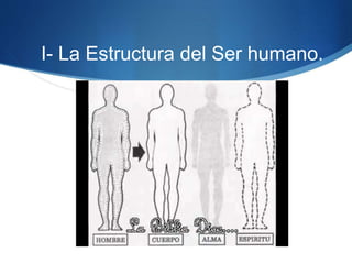 I- La Estructura del Ser humano.
 