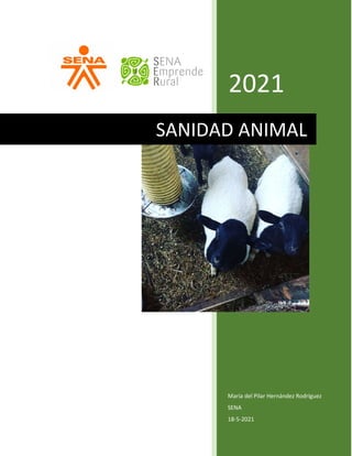 2021
María del Pilar Hernández Rodríguez
SENA
18-5-2021
SANIDAD ANIMAL
 