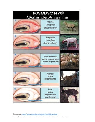 Tomado de: https://www.youtube.com/watch?v=DljSizwbUuM
Control del parasitismo gastrointestinal y problemas reproductivos en ovinos y caprinos - Medidas para la temporada invernal
 
