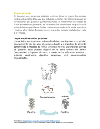 Tomado de: https://www.youtube.com/watch?v=DljSizwbUuM
Control del parasitismo gastrointestinal y problemas reproductivos en ovinos y caprinos - Medidas para la temporada invernal
Desparasitación
En los programas de desparasitación se deben tener en cuenta los factores
medio ambientales, toda vez que estudios recientes han confirmado que las
infestaciones por parásitos gastrointestinales se incrementan en épocas de
lluvia. En términos generales, es recomendable administrar antiparasitarios
antes de las temporadas de lluvias, realizando una aplicación inicial, que debe
repetirse a los 15 días. Posteriormente, se pueden espaciar realizándolas cada
3 o 4 meses.
Las parasitosis en ovinos y caprinos
Los parásitos son organismos uni o multicelulares que ingresan en el ser vivo
principalmente por dos vías, el contacto directo y la ingestión de alimento
contaminado o infestado de formas larvarias o huevos. Dependiendo del tipo
de parasito, estos pueden alojarse en la parte externa del animal
(exoparasitos) o ingresar al cuerpo a través de los diferentes aparatos o
sistemas (respiratorio, digestivo, sanguíneo, etc.), denominándose
endoparásitos.
 