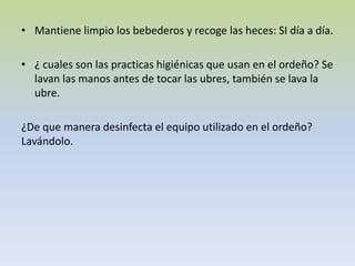 • Mantiene limpio los bebederos y recoge las heces: SI día a día.
• ¿ cuales son las practicas higiénicas que usan en el ordeño? Se
lavan las manos antes de tocar las ubres, también se lava la
ubre.
¿De que manera desinfecta el equipo utilizado en el ordeño?
Lavándolo.
 
