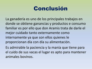 Conclusión
La ganadería es uno de los principales trabajos en
donde se obtiene ganancias y productos e consumo
familiar es por ello que don Aramis trata de darle el
mejor cuidado tanto externamente como
internamente ya que son ellos quienes le
proporcionan día con día su alimentación.
Es admirable la paciencia y la manía que tiene para
el cuido de sus vacas el lugar es apto para mantener
animales bovinos.
 