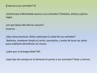¿vacuna a sus animales? SI
¿Contra que enfermedad vacuna a sus animales? Parásitos, ántrax y pierna
negra
¿en que época del año los vacuna?
Invierno
¿Que otras practicas utiliza usted para la salud de sus animales?
Bañarlos, mantener limpio el corral, vacunarlos, y antes de tocar las ubres
para ordeñarlo desinfectar las manos
¿sabe que es bioseguridad? NO
¿Qué tipo de manejo en el alimento le presta a sus animales? Pasto y harinas
 
