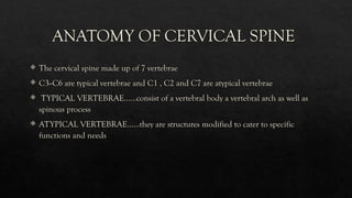 Comprehensive Overview of Cervical Spondylosis: Anatomy, Symptoms, and ...
