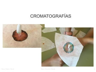 Your Date Here Your Footer Here 3
CROMATOGRAFÍAS
 