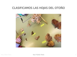 Your Date Here Your Footer Here 5
CLASIFICAMOS LAS HOJAS DEL OTOÑO
 