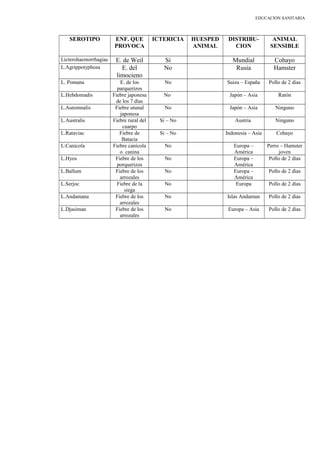 EDUCACION SANITARIA
SEROTIPO ENF. QUE
PROVOCA
ICTERICIA HUESPED
ANIMAL
DISTRIBU-
CION
ANIMAL
SENSIBLE
Licterohaemorrhagiac E. de Weil Si Mundial Cohayo
L.Agrippotyphosa E. del
limocieno
No Rusia Hamster
L. Pomana E. de los
parquerizos
No Suiza – España Pollo de 2 días
L.Hebdomadis Fiebre japonesa
de los 7 días
No Japón – Asia Ratón
L.Automnalis Fiebre utunal
japonesa
No Japón – Asia Ninguno
L.Australis Fiebre rural del
cuarpo
Si – No Austria Ninguno
L.Rataviac Fiebre de
Batacia
Si – No Indonesia – Asia Cohayo
L:Canícola Fiebre canícola
o canina
No Europa –
América
Perro – Hamster
joven
L.Hyos Fiebre de los
porquerizos
No Europa –
América
Pollo de 2 días
L.Ballum Fiebre de los
arrozales
No Europa –
América
Pollo de 2 días
L.Serjoc Fiebre de la
siega
No Europa Pollo de 2 días
L.Andamana Fiebre de los
arrozales
No Islas Andamun Pollo de 2 días
L.Djasiman Fiebre de los
arrozales
No Europa – Asia Pollo de 2 días
 