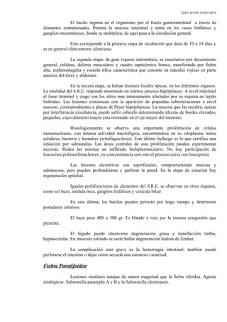 EDUCACION SANITARIA
El bacilo ingresa en el organismo por el tracto gastrointestinal a través de
alimentos contaminados. Penetra la mucosa intestinal y entra en los vasos linfáticos y
ganglios mesentéricos, donde se multiplica; de aquí pasa a la circulación general.
Esto corresponde a la primera etapa de incubación que dura de 10 a 14 días y
es en general clínicamente silencioso.
La segunda etapa, de gran riqueza sintomática, se caracteriza por decaimiento
general, cefaleas, dolores musculares y cuadro septicémico franco, manifestado por fiebre
alta, esplenomegalia y roséola tífica característica que consiste en máculas rojizas en parte
anterior del tórax y abdomen.
En la tercera etapa, se hallan lesiones focales típicas, en los diferentes órganos.
La totalidad del S.R.E. responde mostrando un intenso proceso hiperplásico. A nivel intestinal
el íleon terminal y ciego son los sitios mas intensamente afectados por su riqueza en tejido
linfoideo. Las lesiones comienzan con la aparición de pequeñas sobrelevaciones a nivel
mucoso, correspondientes a placas de Peyer hiperplásicas. La mucosa que las recubre, quizás
por interferencia circulatoria, puede sufrir esfacelo determinando úlceras de bordes elevados,
pequeñas, cuyo diámetro mayor esta orientado en el eje mayor del intestino.
Histológicamente se observa una importante proliferación de células
mononucleares, con intensa actividad macrofágica, encontrándose en su citoplasma restos
celulares, bacteria y hematíes (eritrifagocitosis). Este último hallazgo es lo que certifica una
infección por salmonelas. Las áreas centrales de esta proliferación pueden experimentar
necrosis. Rodea las mismas un infiltrado linfoplasmocitario. No hay participación de
leucocitos polimorfonucleares; en concomitancia con esto el proceso cursa con leucopenia.
Las lesiones ulcerativas son superficiales, comprometiendo mucosa y
submucosa, pero pueden profundizarse y perforar la pared. En la etapa de curación hay
regeneración epitelial.
Iguales proliferaciones de elementos del S.R.E. se observan en otros órganos,
como ser bazo, médula ósea, ganglios linfáticos y vesícula biliar.
En esta última, los bacilos pueden persistir por largo tiempo y determinar
portadores crónicos.
El bazo pesa 400 o 500 gr. Es blando y rojo por la intensa congestión que
presenta.
El hígado puede observarse degeneración grasa y tumefacción turbia,
hepatocelular. En músculo estriado se suele hallar degeneración hialina de Zenker.
La complicación más grave es la hemorragia intestinal; también puede
perforarse el intestino o dejar como secuela una estenosis cicatrizal.
Fiebre Paratifoidea:
Lesiones similares aunque de menor magnitud que la fiebre tifoidea. Agente
etiológicos: Salmonella paratyphi A y B y la Salmonella chorreaseis.
 