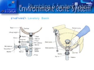 อ่ ำ งล้ ำ งหน้ ำ Lavatory Basin
 