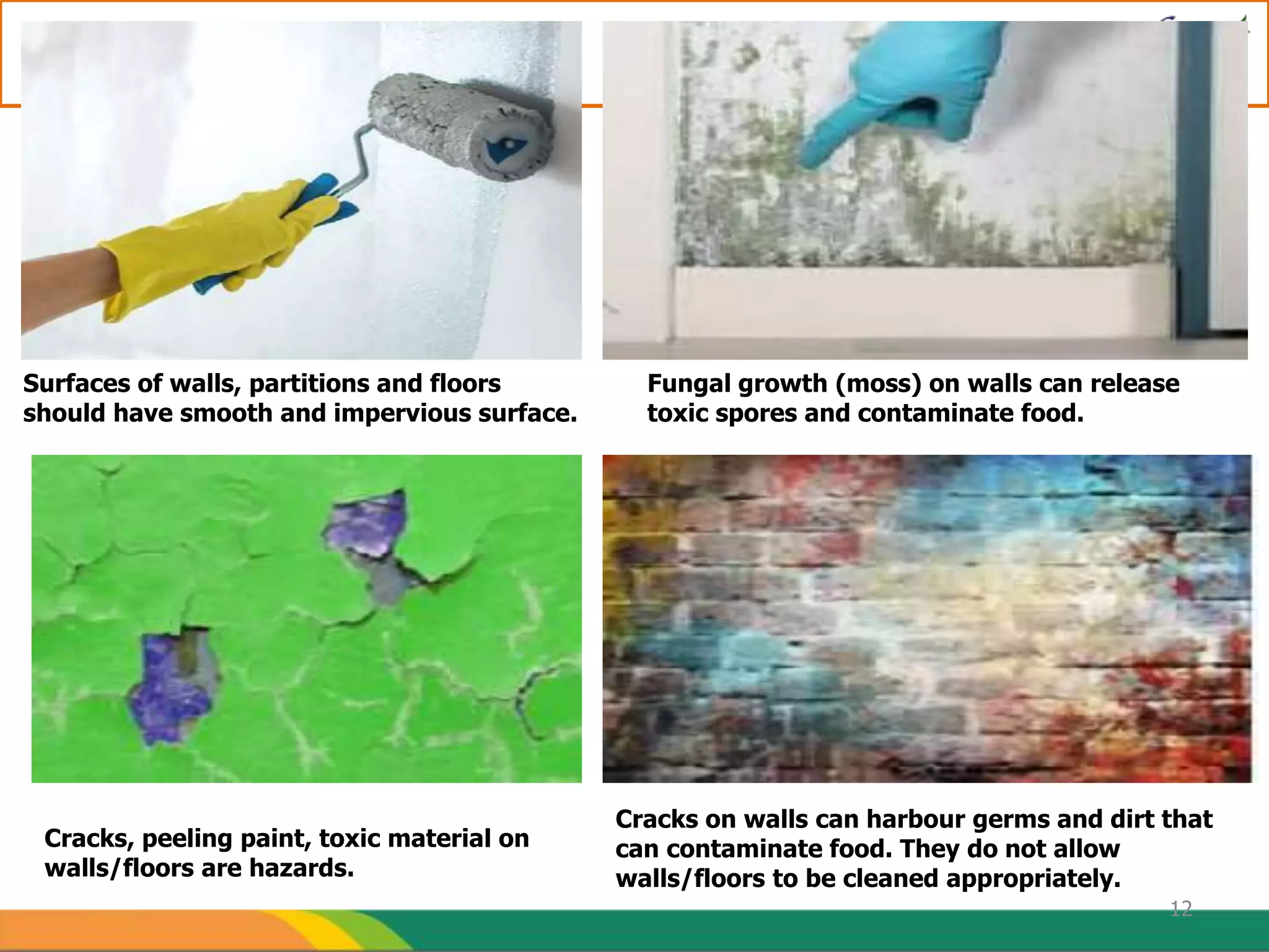 12
Surfaces of walls, partitions and floors
should have smooth and impervious surface.
Cracks on walls can harbour germs and dirt that
can contaminate food. They do not allow
walls/floors to be cleaned appropriately.
Cracks, peeling paint, toxic material on
walls/floors are hazards.
Fungal growth (moss) on walls can release
toxic spores and contaminate food.
 
